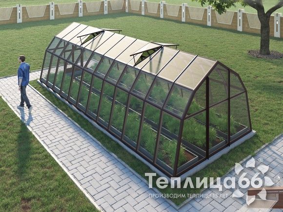 Теплица Рада Волга под стекло, 3х8 метров, коричневая