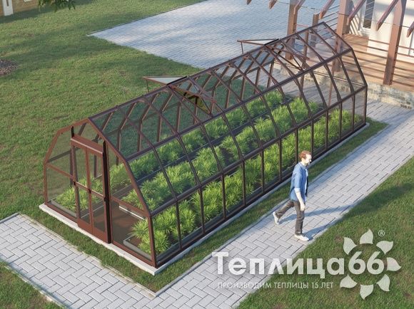 Теплица Рада Исеть под стекло 3х8 метров, коричневая
