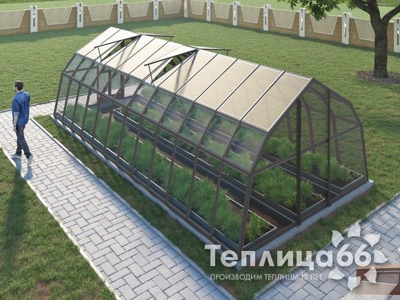 Теплица Рада Дунай под стекло, 3,5х8 метра, графитовая