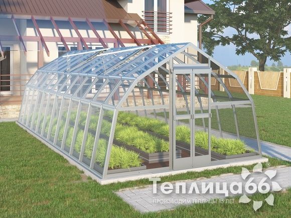 Теплица Рада Дунай под стекло, 3,5х8 метров