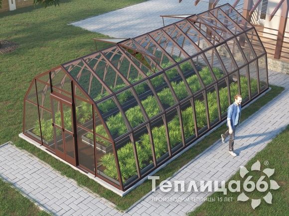 Теплица Рада Енисей под стекло, 4х8 метров, коричневая