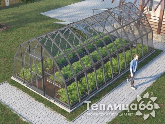 Теплица Рада Енисей под стекло, 4х8 метров, графитовая