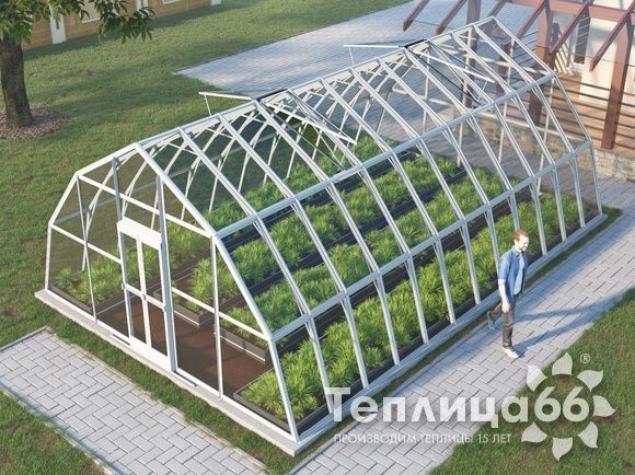 Теплица Рада Амазонка под стекло, 5х8 метров, белая