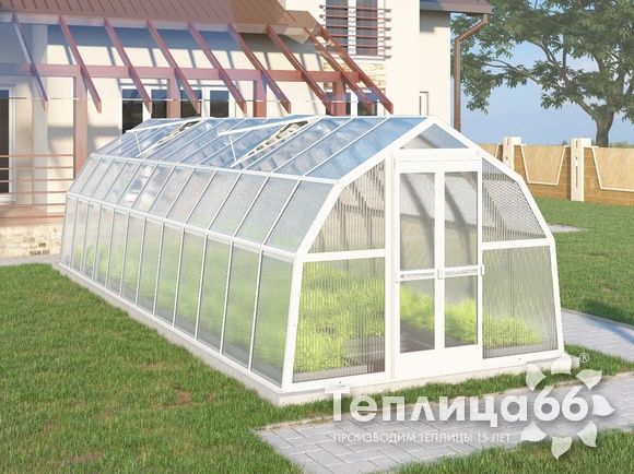 Теплица Рада Ладога из поликарбоната, 2.65х8 метров, белая