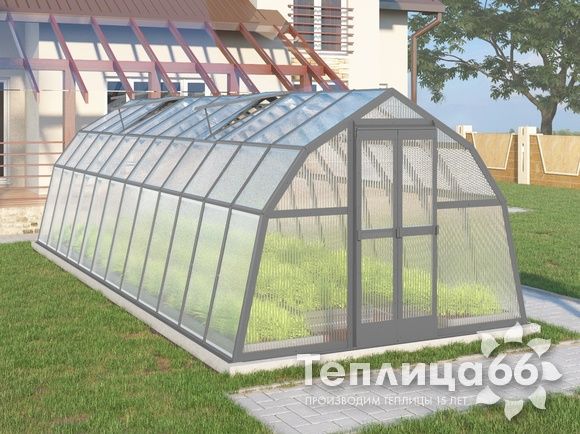 Теплица Рада Байкал из поликарбоната, 3x8 метров, графитовая